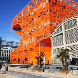 confluence-brain-4 (1)