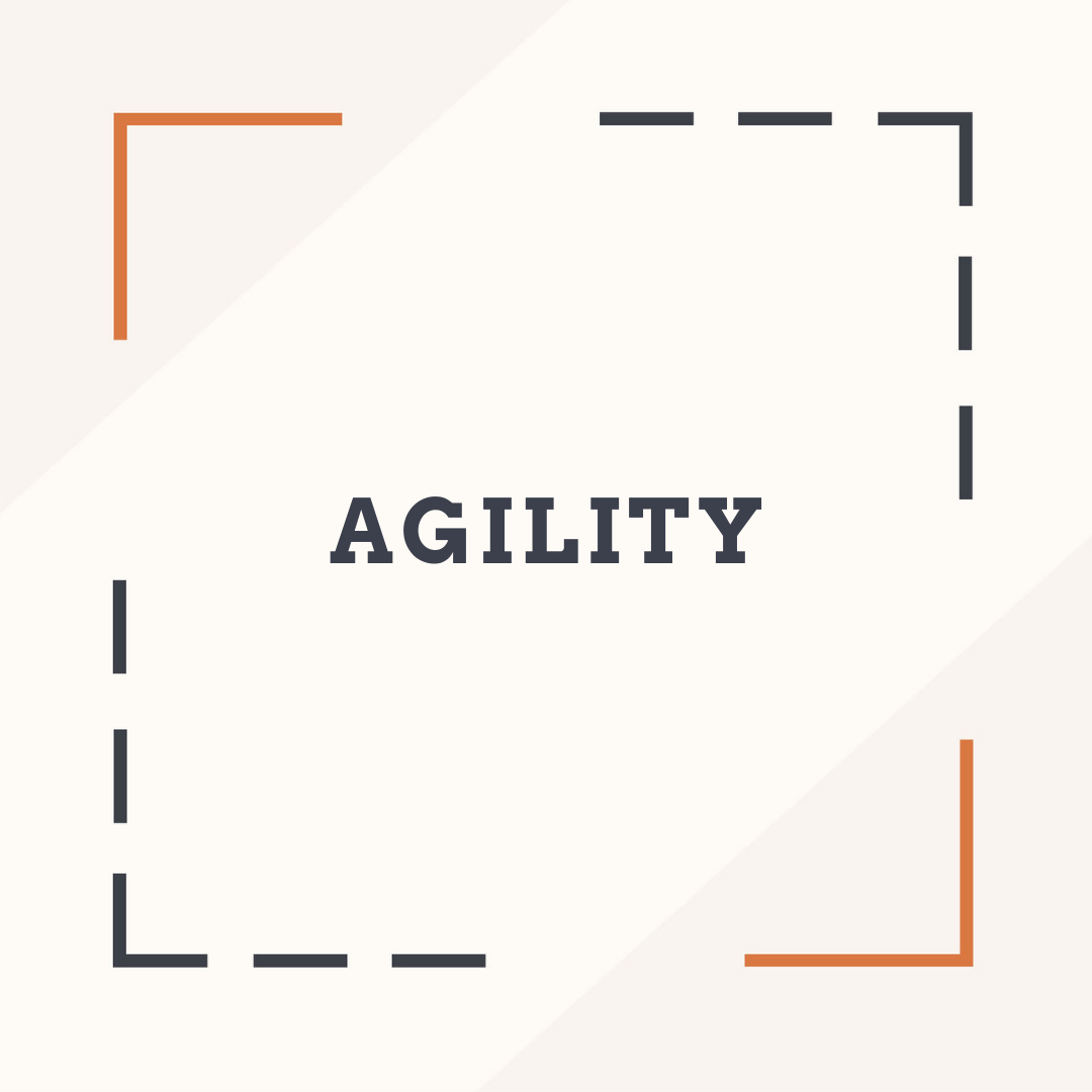 AGIL easy Louise (2)